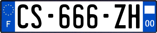 CS-666-ZH