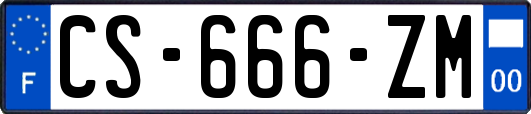 CS-666-ZM