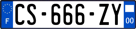 CS-666-ZY