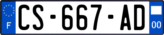 CS-667-AD