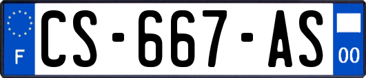 CS-667-AS