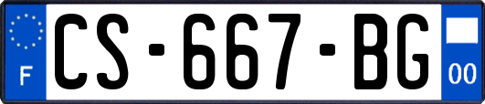 CS-667-BG