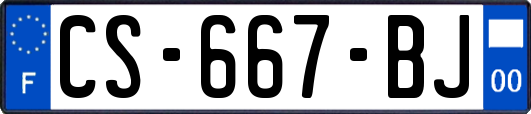 CS-667-BJ