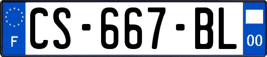 CS-667-BL