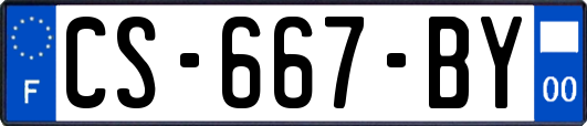 CS-667-BY