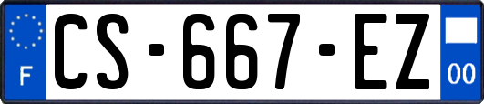 CS-667-EZ