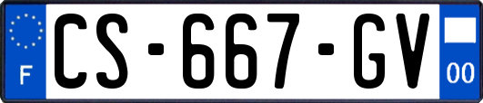CS-667-GV