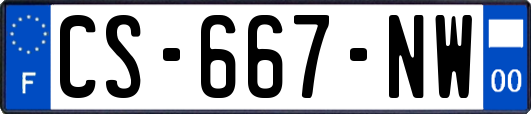 CS-667-NW