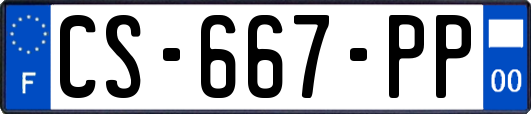CS-667-PP