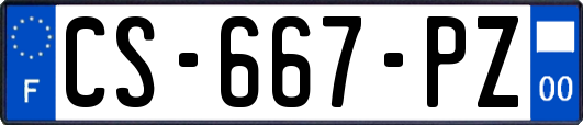 CS-667-PZ