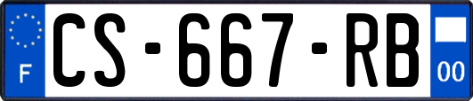 CS-667-RB