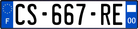 CS-667-RE