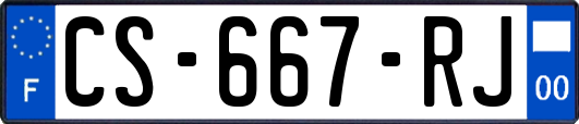 CS-667-RJ