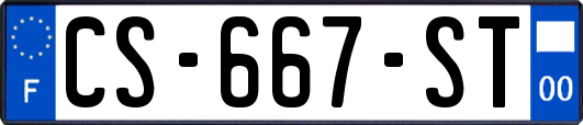 CS-667-ST