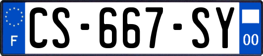 CS-667-SY