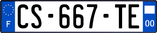 CS-667-TE