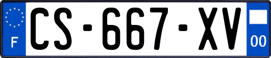 CS-667-XV