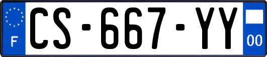 CS-667-YY