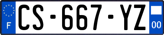 CS-667-YZ