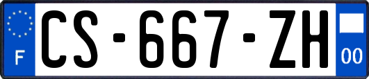 CS-667-ZH