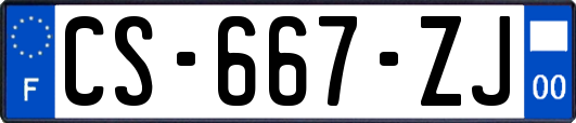 CS-667-ZJ