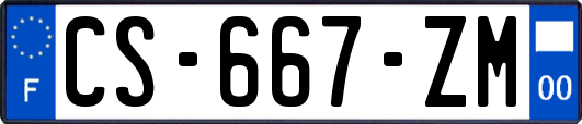 CS-667-ZM