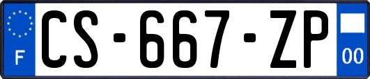 CS-667-ZP