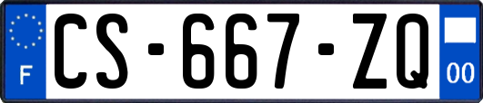 CS-667-ZQ