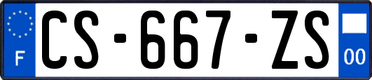 CS-667-ZS