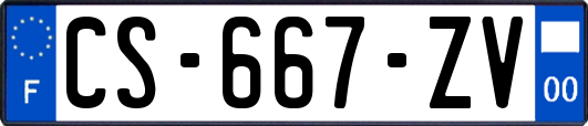 CS-667-ZV