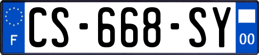 CS-668-SY