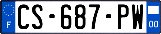 CS-687-PW