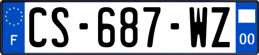 CS-687-WZ