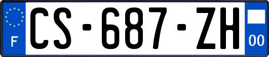 CS-687-ZH