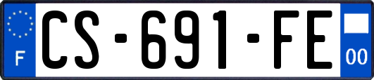 CS-691-FE