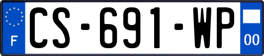 CS-691-WP