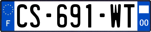 CS-691-WT