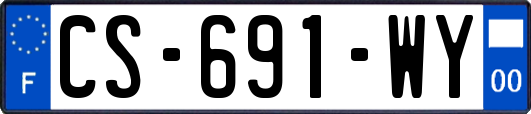 CS-691-WY