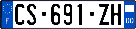 CS-691-ZH