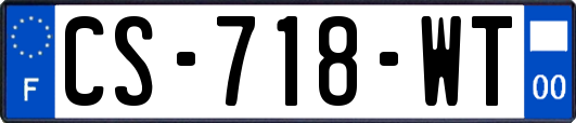 CS-718-WT