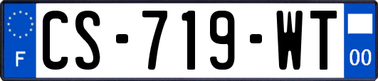 CS-719-WT