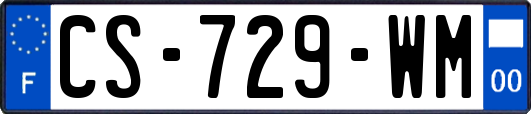 CS-729-WM