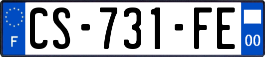 CS-731-FE