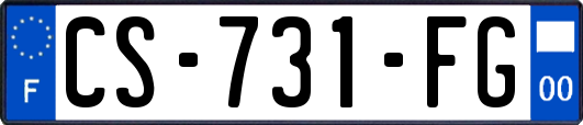 CS-731-FG