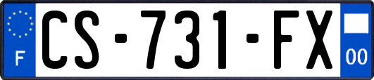 CS-731-FX