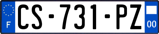 CS-731-PZ