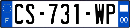 CS-731-WP