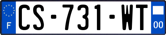CS-731-WT