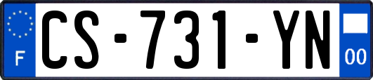 CS-731-YN