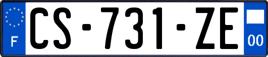 CS-731-ZE